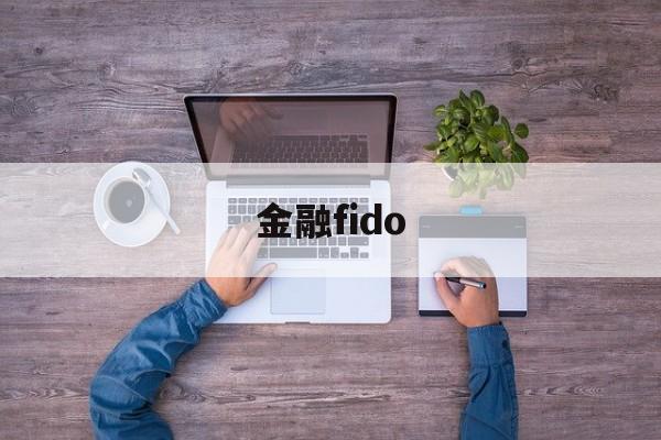 金融fido(金融fintech有风险吗)