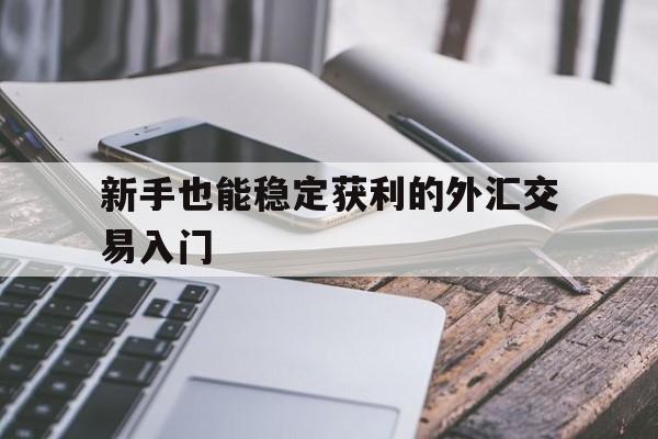 包含新手也能稳定获利的外汇交易入门的词条