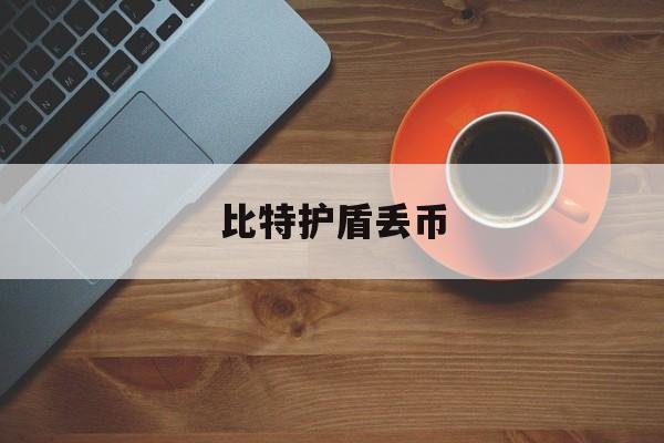 比特护盾丢币(比特护盾是什么)